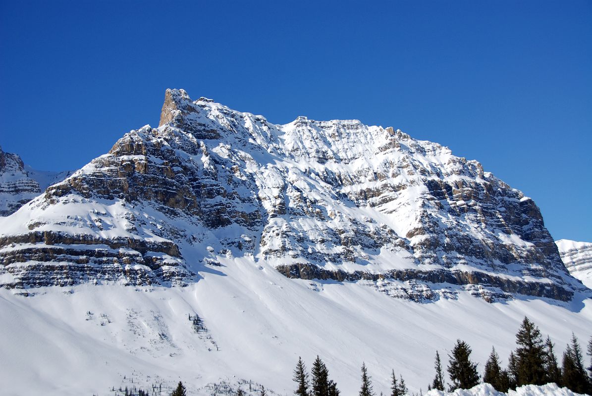 37 Crowfoot Mountain Subsidiary Peak From Viewpoint On Icefields Parkway